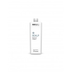 Framesi Morphosis De Stress Shampoo 1000ml