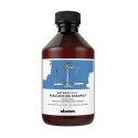 Davines Naturaltech Rebalancing Shampoo 250ml - shampoo seboequilibrante cute e capelli grassi