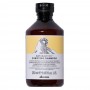 Davines Purifying Shampoo 250ml - shampoo purificante cute con