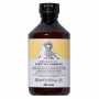 Davines Purifying Shampoo 250ml - shampoo purificante cute con