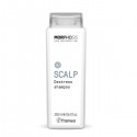 Framesi Morphosis Scalp De Stress Shampoo 250ml NOVITA' 2023 - shampoo lenitivo cute irritata
