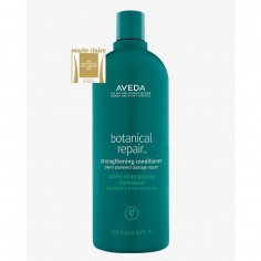 Aveda Botanical Repair...