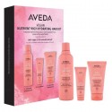 Aveda Nutriplenish Nutrient-Rich Hydrating Hair Kit