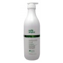 milk_shake Sensorial Mint Shampoo 1000ml - shampoo tonificante rinfrescante tutti tipi di capelli
