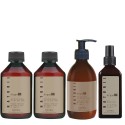 Cotril Naturil Oil Argan Shampoo+Conditioner+Styling Cream+Oil 250+250+290+100ml - kit idratante