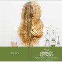 Matrix Biolage Strength Recovery Shampoo+Conditioner 250+200ml - kit per capelli danneggiati