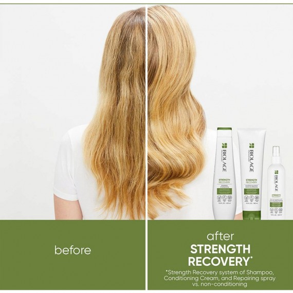 Matrix Biolage Strength Recovery...