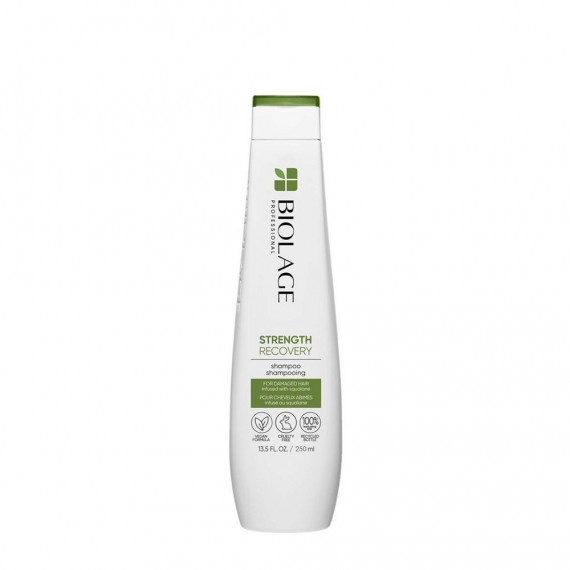 Matrix Biolage Strength Recovery...