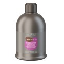Alter Ego ChromEgo Silver Maintain Shampoo 300ml 