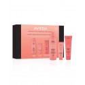 Aveda Nutriplenish Nutrient-Rich Hydrating Hair Care Kit 2023