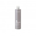 Alter Ego Hasty Too Love Me Curl 250ml - fluido modellante capelli ricci e mossi