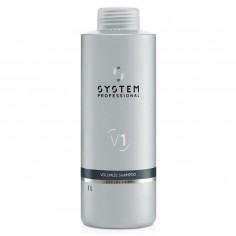 System Professional...