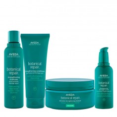 Aveda Botanical Repair...