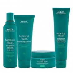 Aveda Botanical Repair...