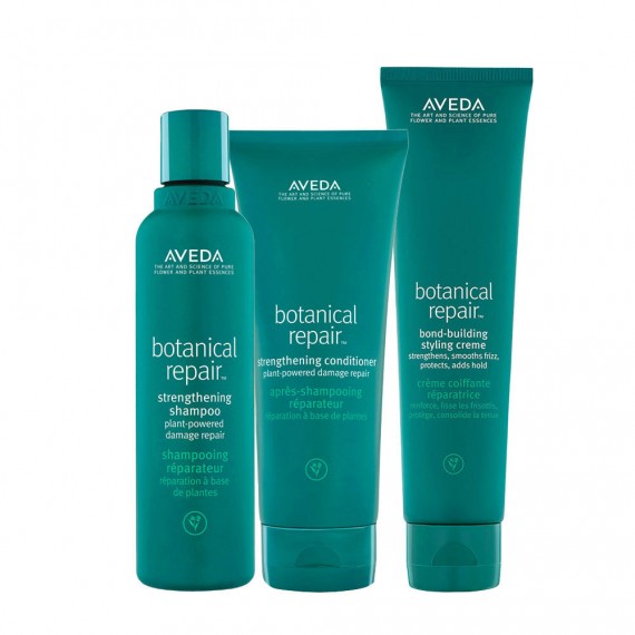 Aveda Botanical Repair Strengthening...