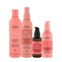 Aveda Nutri Plenish Light Moisture Shampoo+Leave In Conditioner Spray+Oil+Serum 250+200+30+100ml