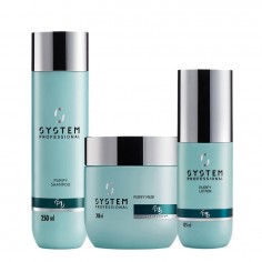 System Professional Purify...