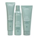 Aveda Scalp Solutions Exfoliating Scalp Treatment+Shampoo+Conditioner 150+200+200ml