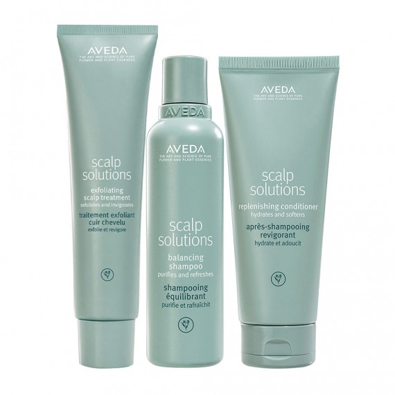 Aveda Scalp Solutions Exfoliating...