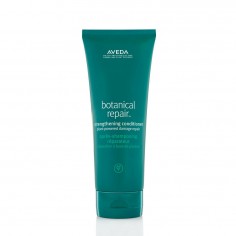 Aveda Botanical Repair...