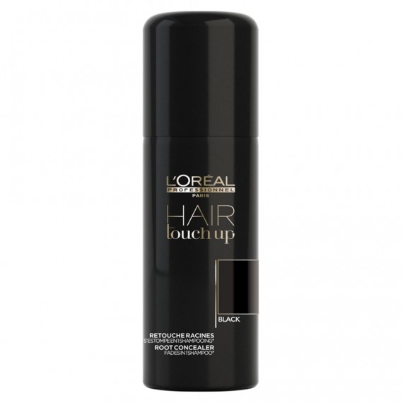 L'Oreal Professionnel Hair Touch Up...