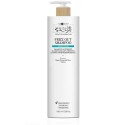 Hair Company Inimitable Style Twist N'Curl Frizz Out Shampoo 1000ml - shampoo elasticizzante anticrespo capelli ricci