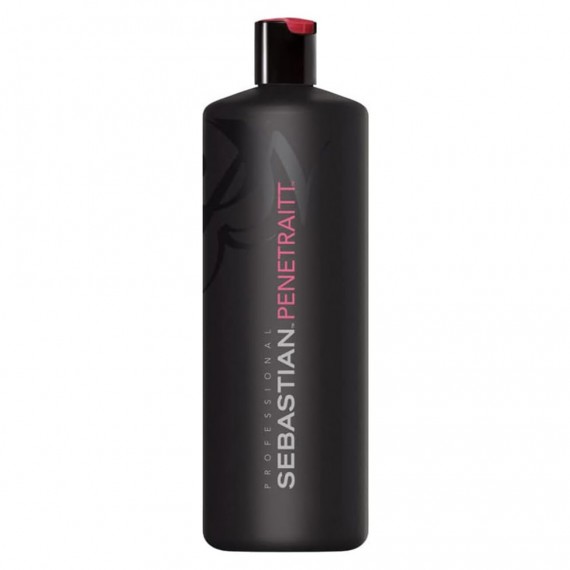 Sebastian Foundation Penetraitt...