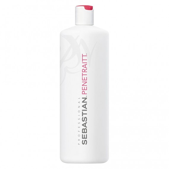 Sebastian Foundation Penetraitt...