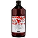 Davines Naturaltech Energizing Shampoo 1000ml - shampoo energizzante capelli fragili sottili propensi alla caduta