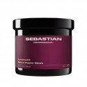 Sebastian Penetraitt Rescue Repair Mask 500ml NEW - maschera riparatrice intensiva capelli danneggiati