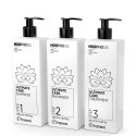 Framesi Morphosis Ultimate Care Kit Shampoo + Maximizer +